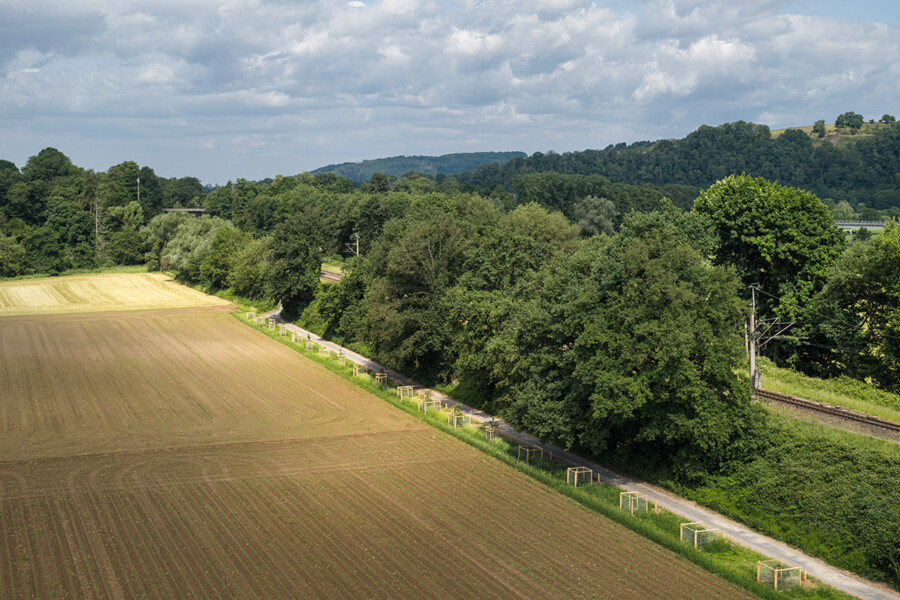 Foto: HG Esch
